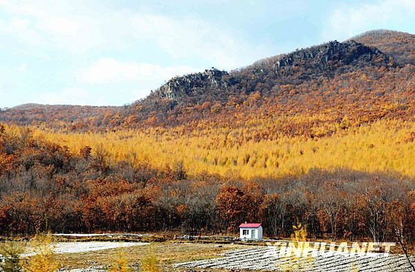 Очаровательная золотая осень