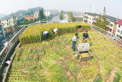 河南驻马店上蔡县塔桥镇多少人口_河南驻马店上蔡县地图(2)