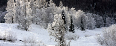 Photo taken on Jan. 4, 2009 shows the scenery of Hemu village of Burqin County in northwestern China's Xinjiang Uygur Autonomous Region. In winter, heavy snow covers trees and hills at the scenic spot of Burqin County.