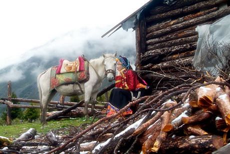 Первая тибетская красавица в Китае Первая тибетская красавица в Китае