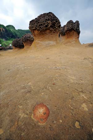 Photo taken on June 3, 2009 shows the scenery of the Yehliu Geopark in Taipei County of southeast China's Taiwan Province.