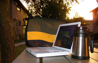 鏁板瓧娓告皯 digital nomad