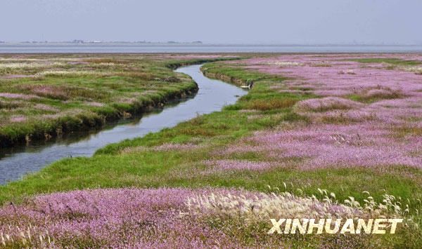 Красивые пейзажи озера Боянху 2