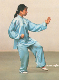 21 Zhuan shen ban lan chui