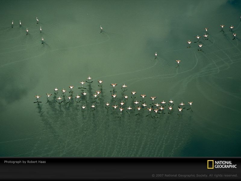 Замечательные снимки от «National Geographic»