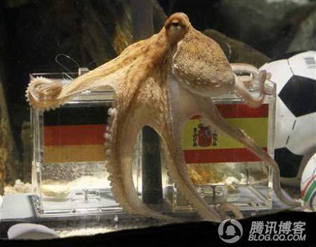 鍥剧墖