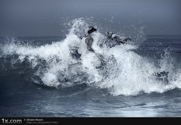 Замечательные творения израильского фотографа Шломи Ниссим