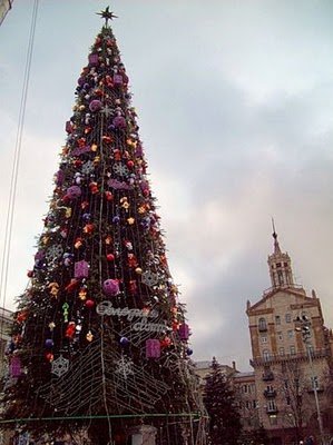 В Киеве ставят елку