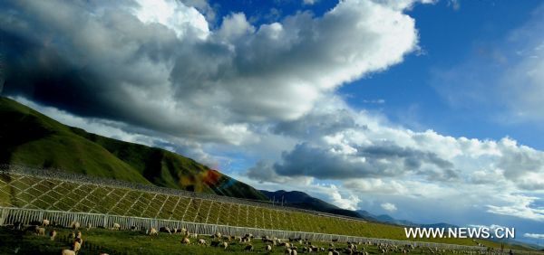 Sheep graze beside the Qinghai-Tibet Railway across the grassland in northern part of southwest China's Tibet Autonomous Region, Aug. 10, 2011. The sunny sky brightens the grassland as autumn creeps in. (Xinhua/Chogo)(ry) 