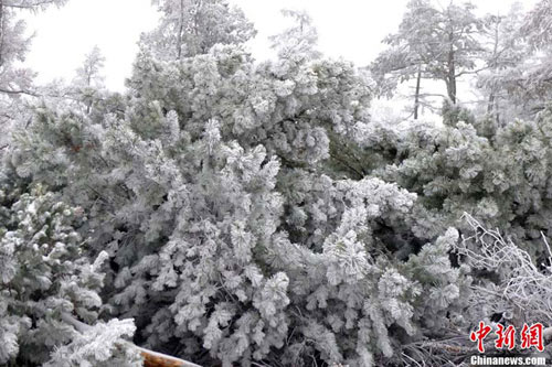 大兴安岭 大雪