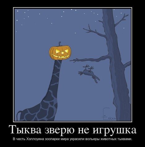 Хэллоуин зверей