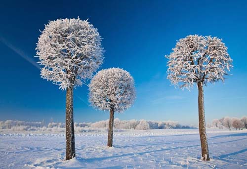 Лучшие работы фотоконкурса «Национальная география» 2011 г.