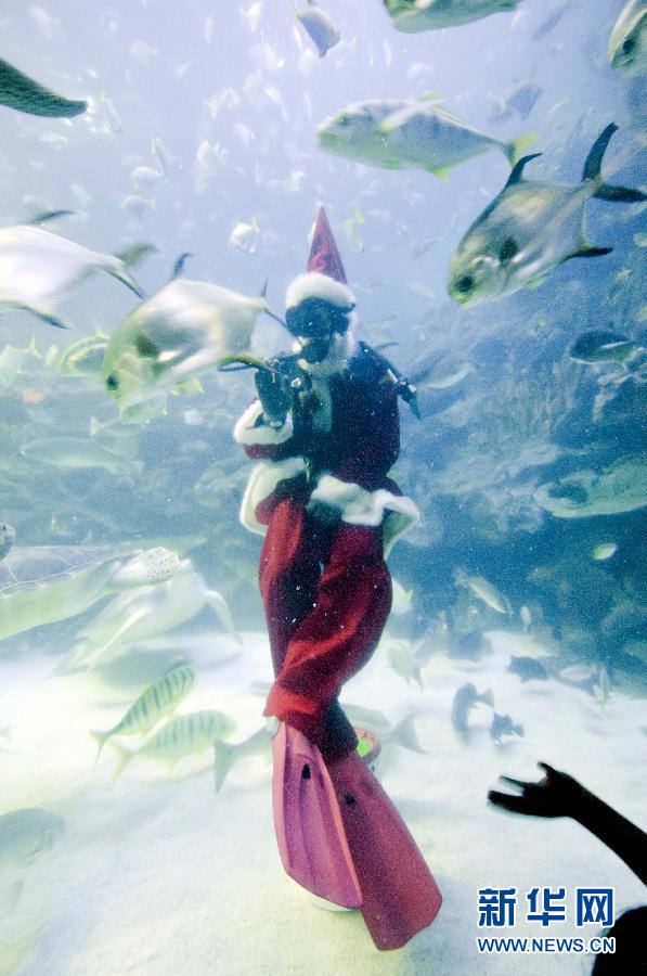 Дед Мороз танцует с рыбами в Малайзии 