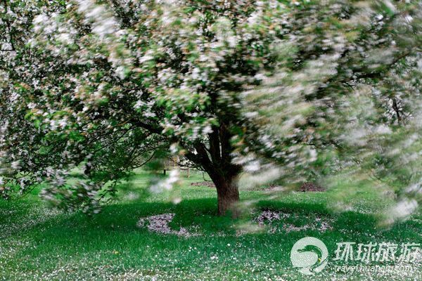 Фотопутешествие по Лондуну