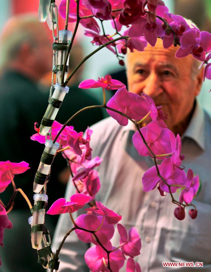 A visitor views an exhibition of flowers planted in tubes during the Agri-tech Israel 2012 in Tel Aviv, Israel, May 16, 2012. The 18th International Agiricultural Exhibition and Conference, Agritech Israel 2012, kicked off on May 15, 2012, and will last till May 17. (Xinhua/Yin Dongxun) 