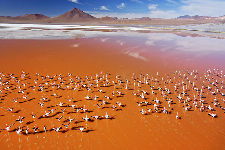 Laguna Colorada, красное озеро в Боливии