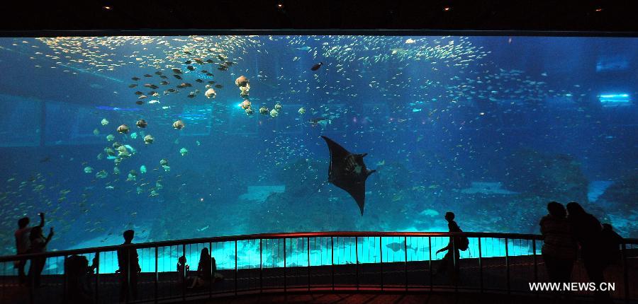 SINGAPORE-SENTOSA-AQUARIUM-BIGGEST-GUINNESS