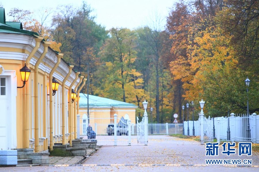 Очаровательные осенние пейзажи Санкт-Петербурга