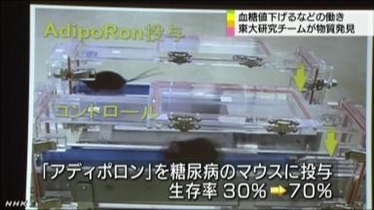 东京大学发现降血糖物质 或可用于治疗糖尿病