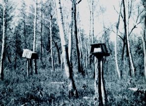 黑龙江各地少数民族葬礼 鄂伦春族神秘风葬-黑龙江,少数民族,葬礼-民族频道