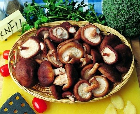 女人常吃12种食物 保养卵巢抗衰老-女人,食物-