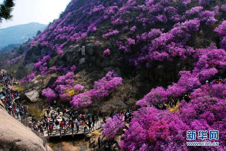 4月美景