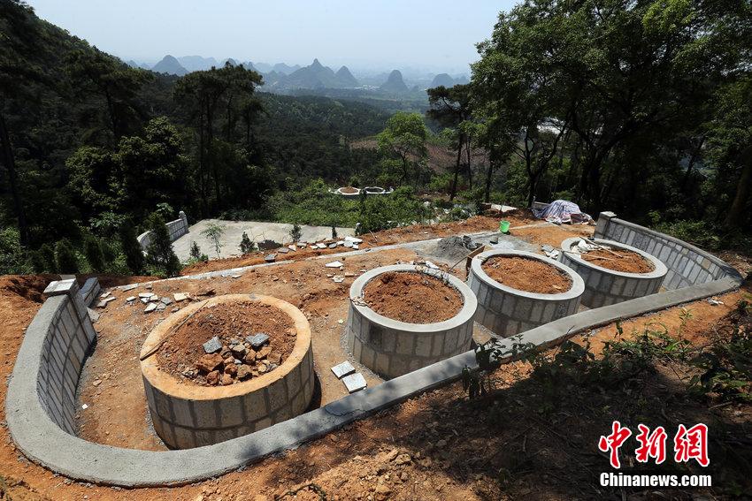 广西桂林一旅游景区现上百"活死人墓"