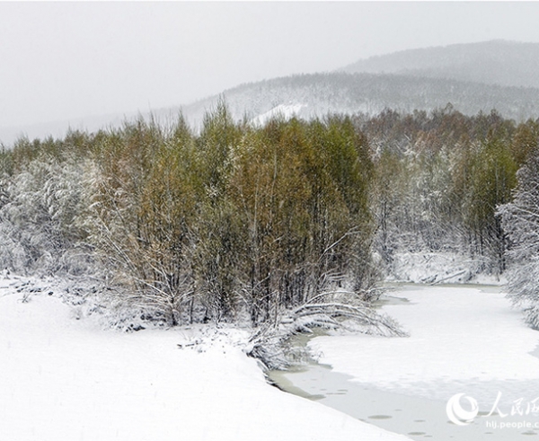 大兴安岭酷夏飘雪 就是这么任性