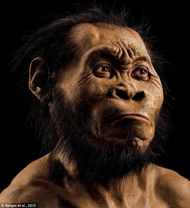 South African scientists recently found remains of human ancesters near the archaeological site of 'craddle of humankind'. 