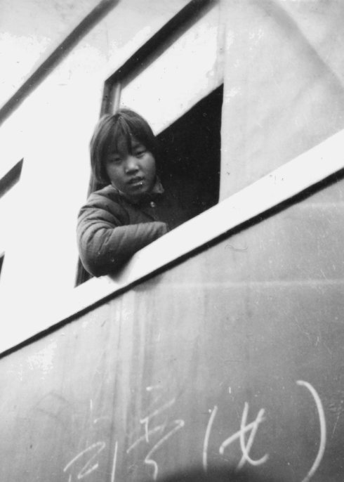 复兴村知青40年(1)