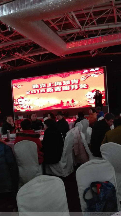 老枝逢春发新叶——写于逊克县上海知青新年大联欢之后 - 东发大队知青 - 东发大队知青
