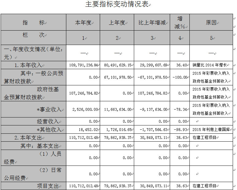 收入支出明细表模板_收入与支出分析