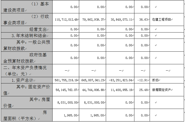收入支出明细表模板_收入与支出分析