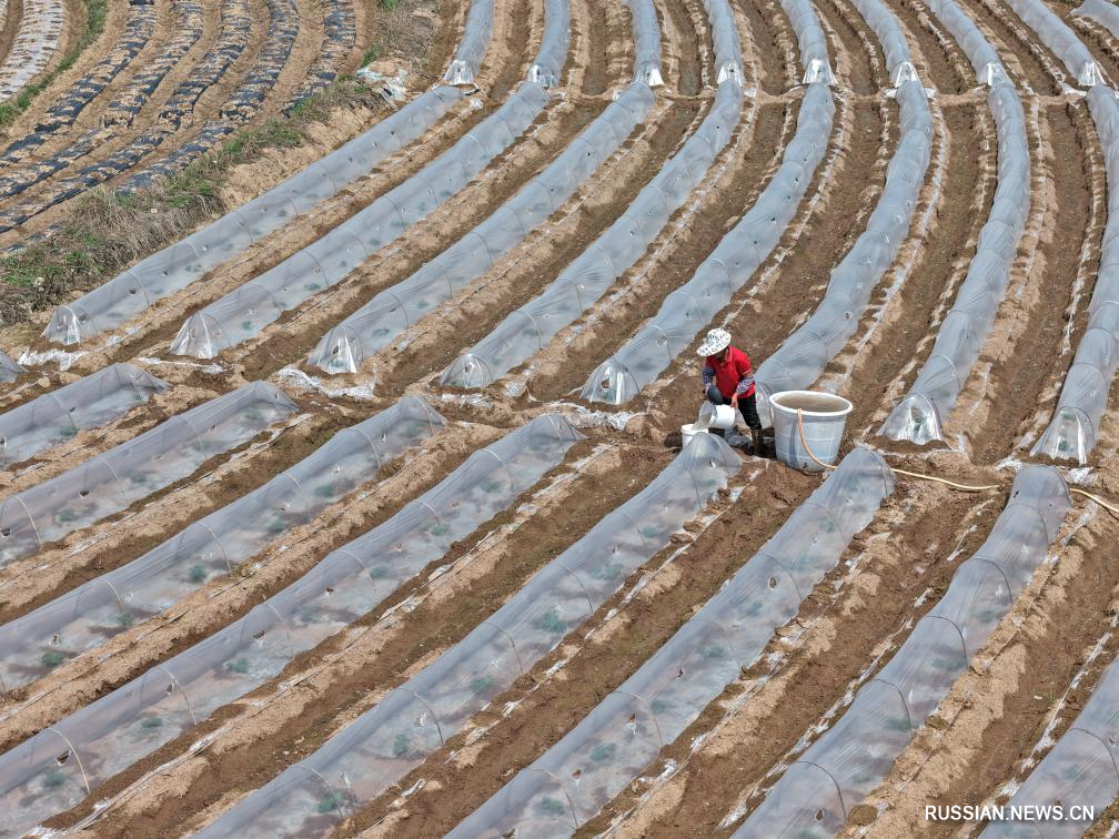 Весенние сельские работы на юге Китая
