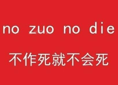 如何用英语解释流行风靡的nozuonodie