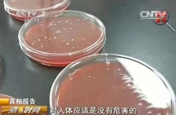 知道吗？厨房会比厕所还脏，是因为使用不当！