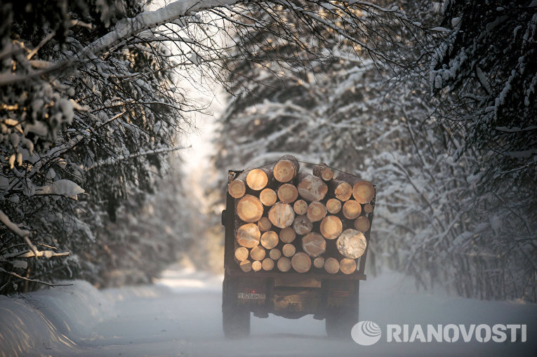 Зима в Омской области