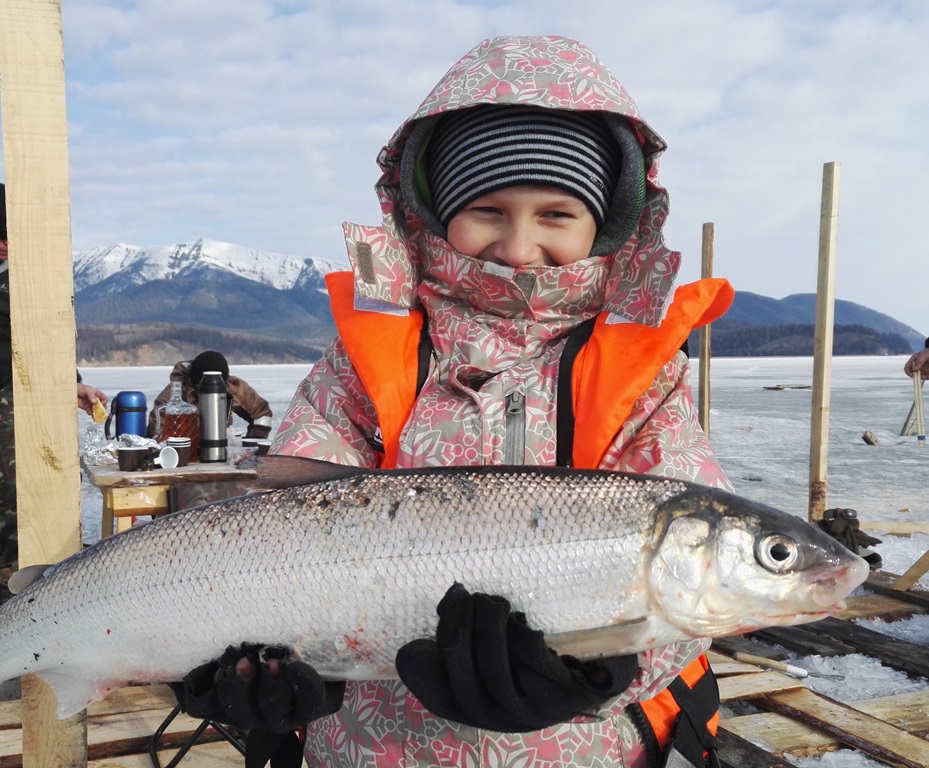 Ловим на байкале. Озеро Байкал омуль. Рыболовство на Байкале. Рыбаки на Байкале. Рыбалка на Байкале зимой.
