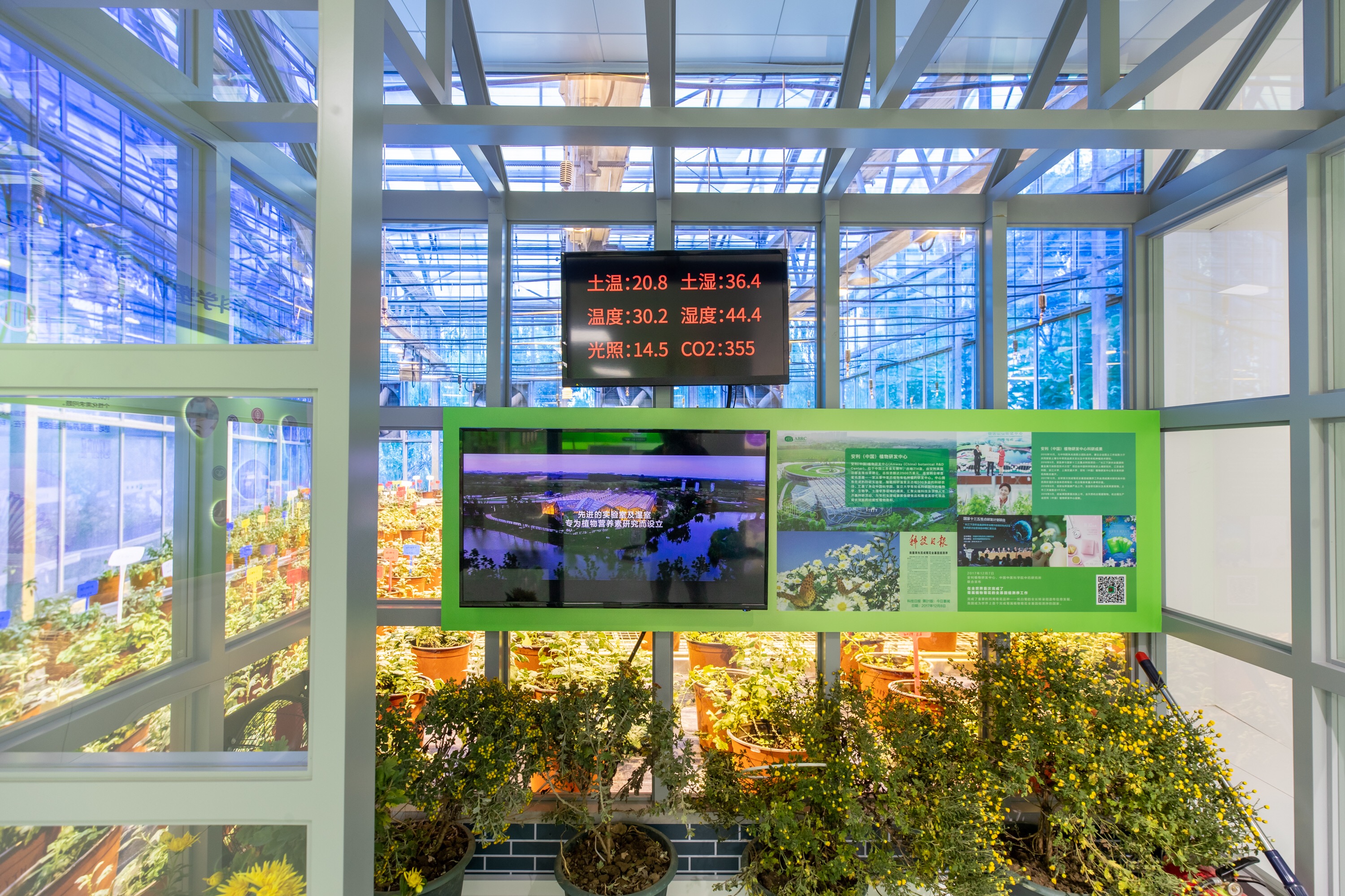 第二届进博会安利展区内还原了安利植物研发中心科研温室2019年,为