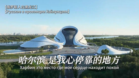Как Харбин изменился в глазах преподавательницы из России?
