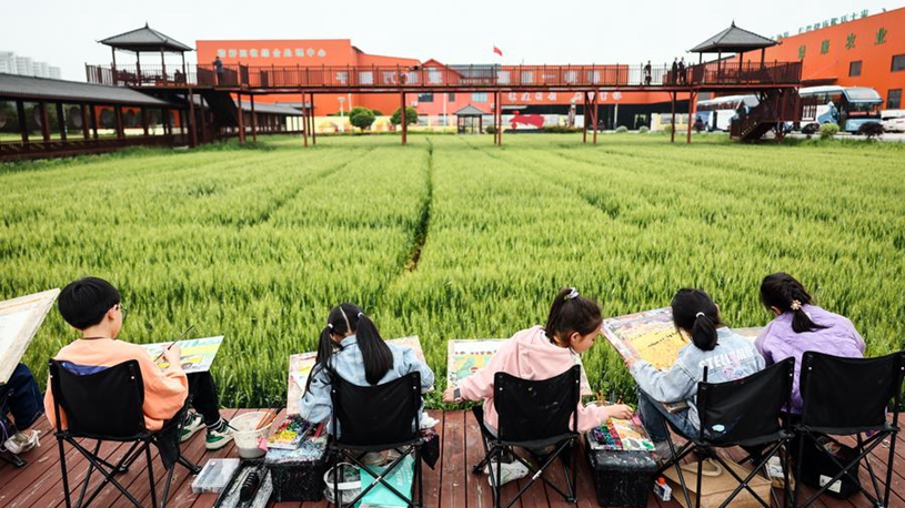 Study tour boom fuels China's countryside revival