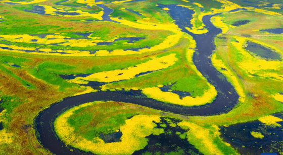 In pics: Naoli River National Natural Reserve in China's ...